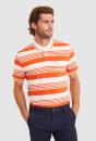 Case Polo