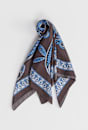 Elizabeth Paisley Scarf