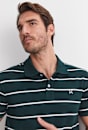 David Stripe Polo