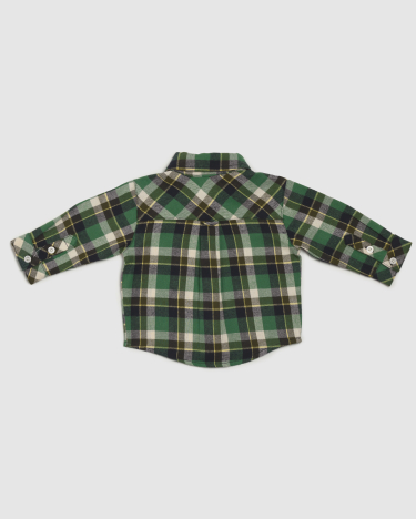Chris Check Cotton Shirt in GREEN