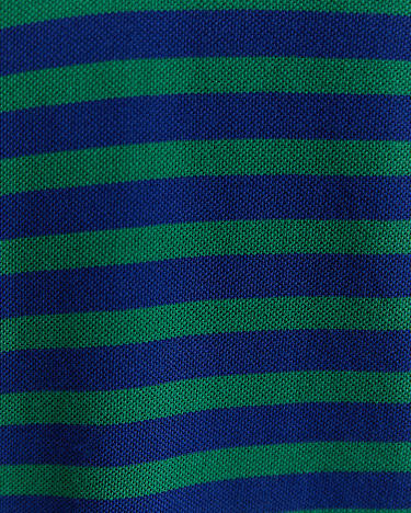 Brookvale Polo in BLUE MULTI