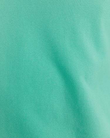 SC Pique Polo in SPEARMINT