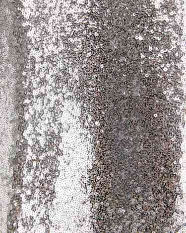 Sequin Top in SILVER