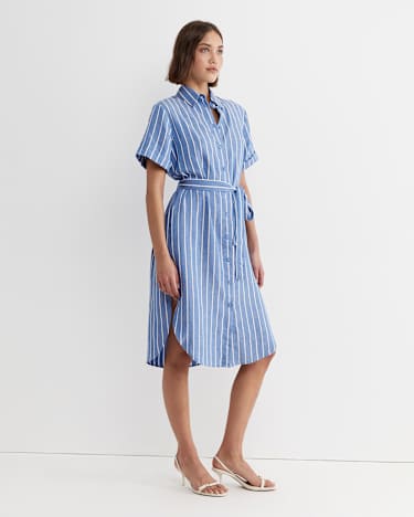 Hera Stripe Shirt Dress in BLUE/WHITE
