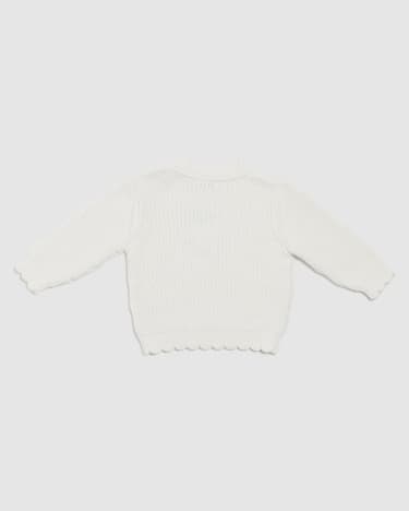 Sally Scallop Cotton Knit in IVORY