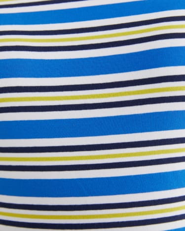 The Perfect Stripe Tee in BLUE MULTI