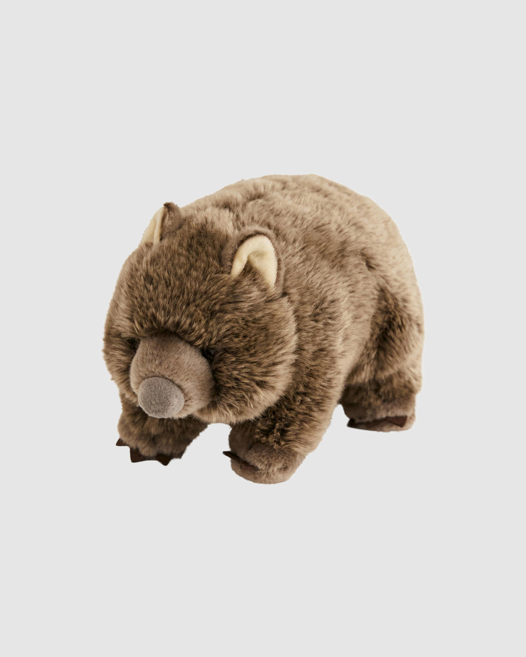 WWF Wombat in BROWN