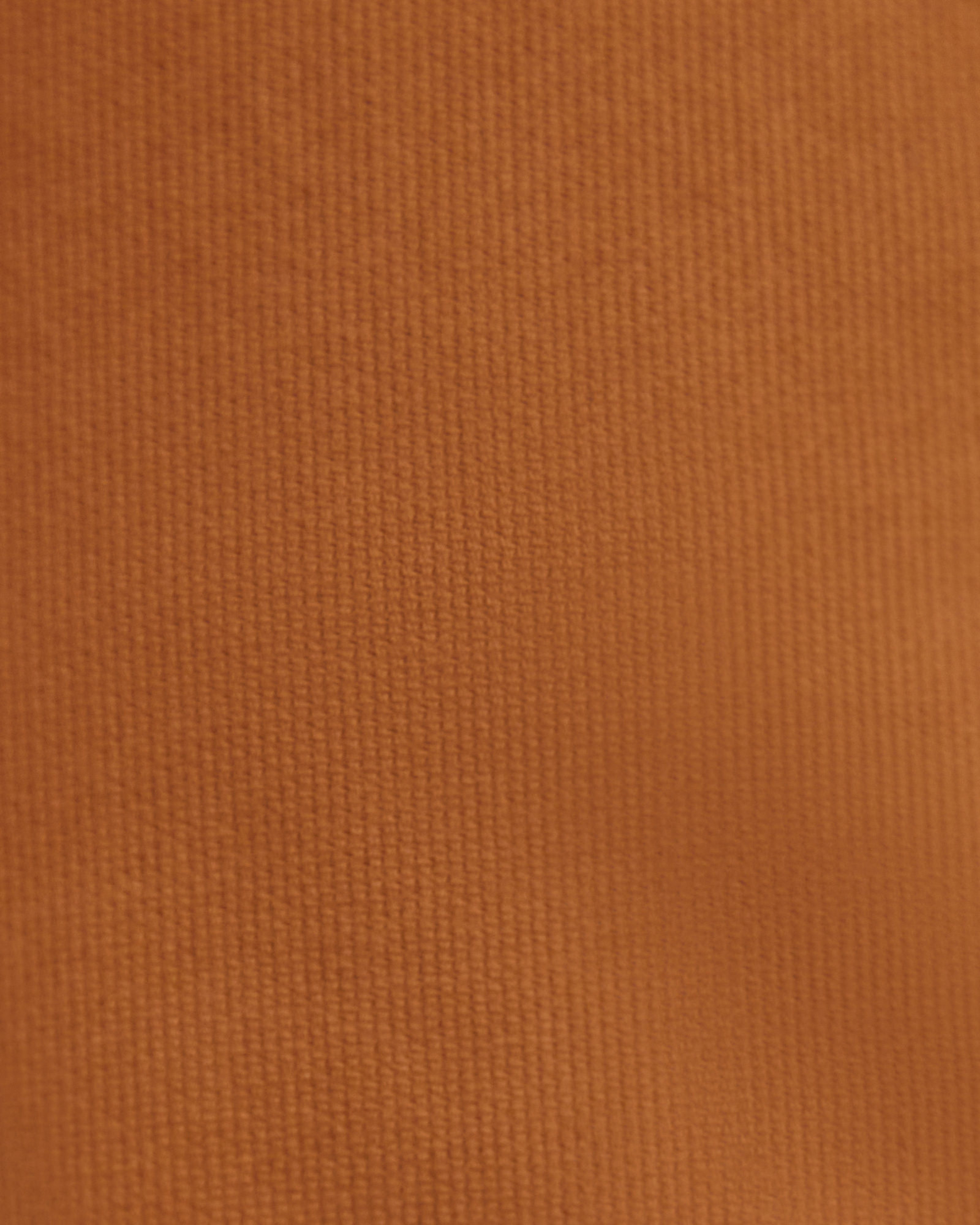 Tapered Bedford Jean in ALMOND