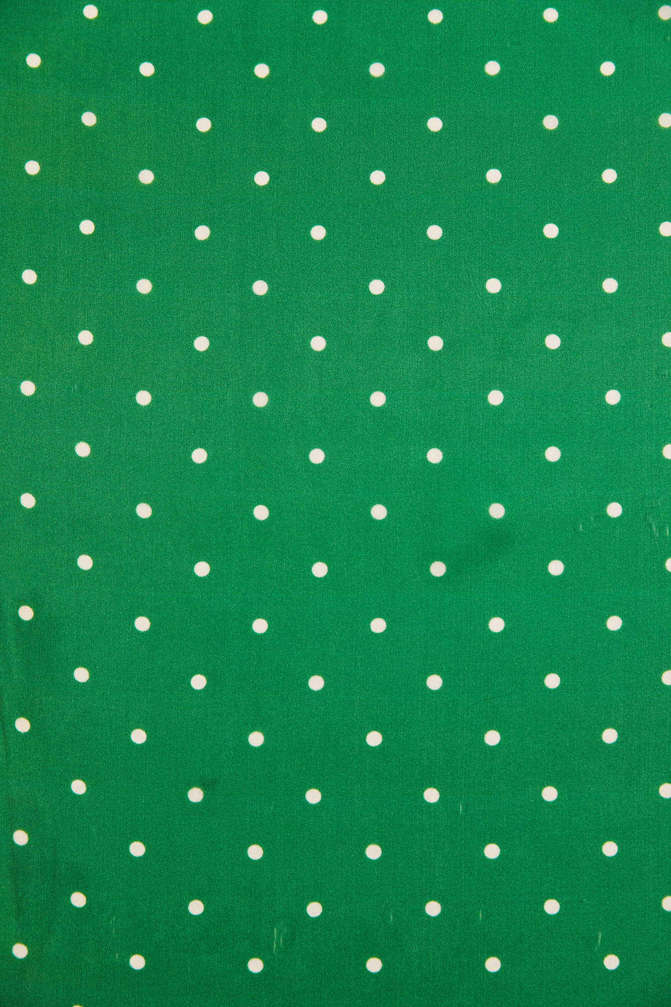 Spot Silk Scarf in GREEN