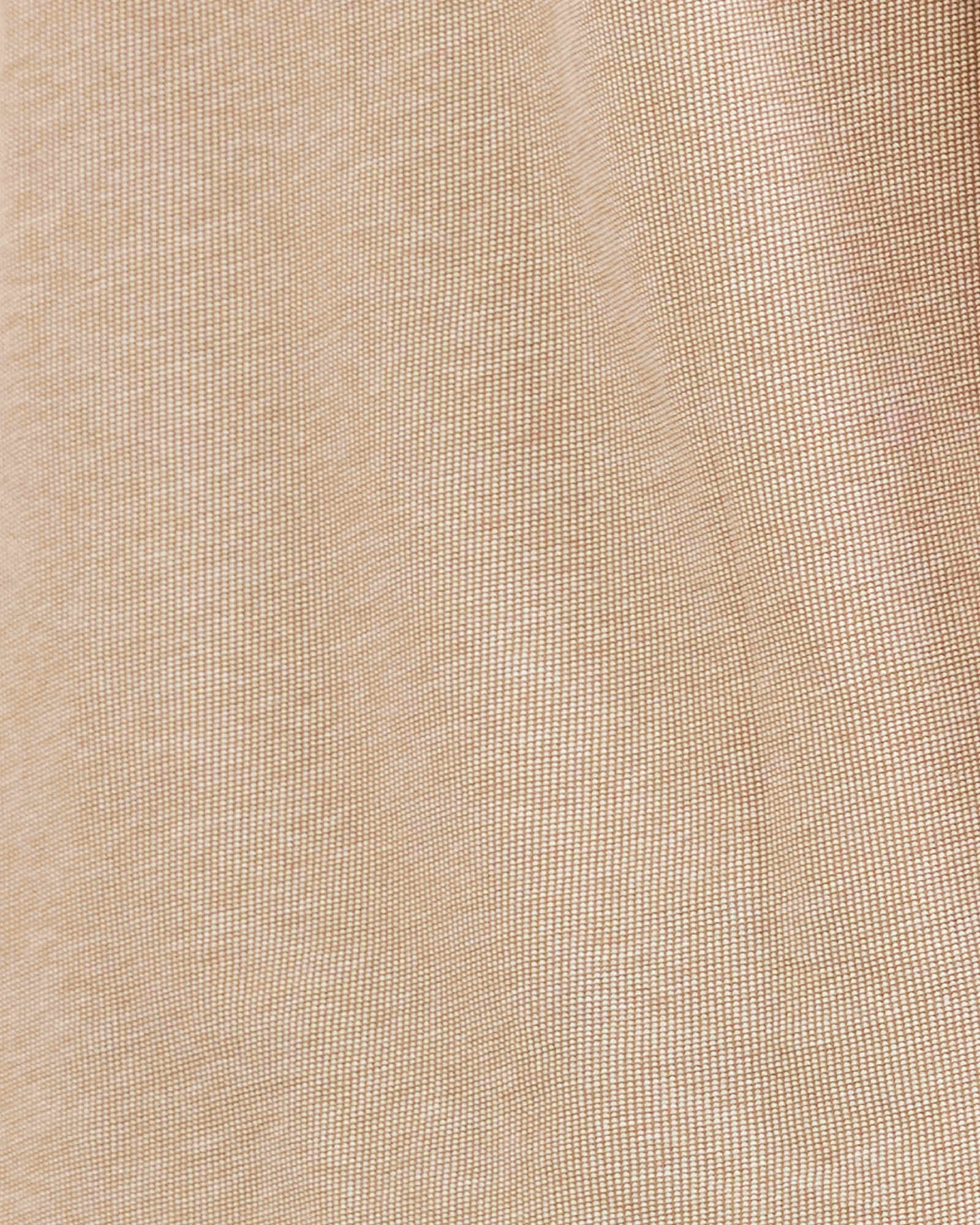 Collamon Polo in MALT