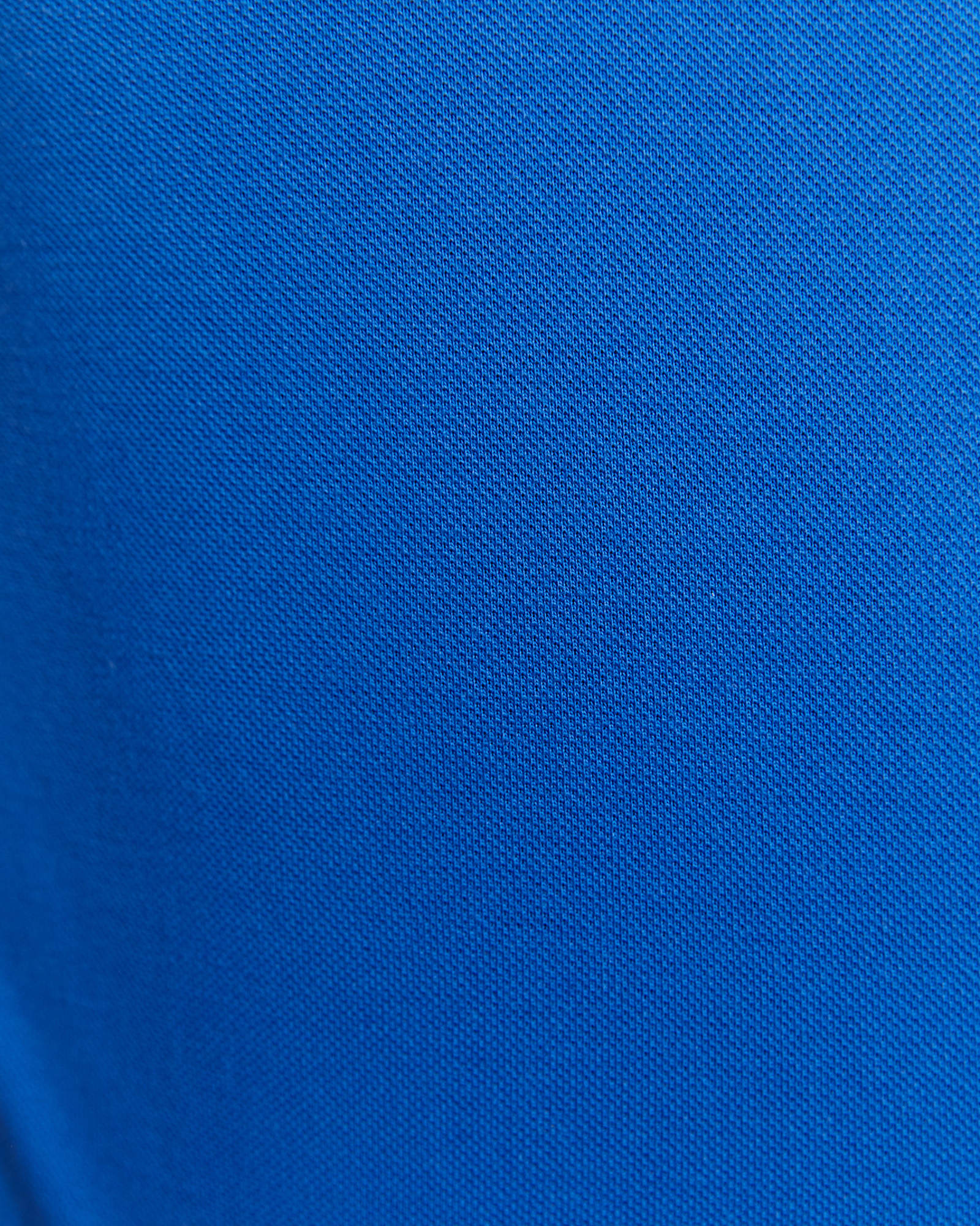 Cawley Polo in DUTCH BLUE