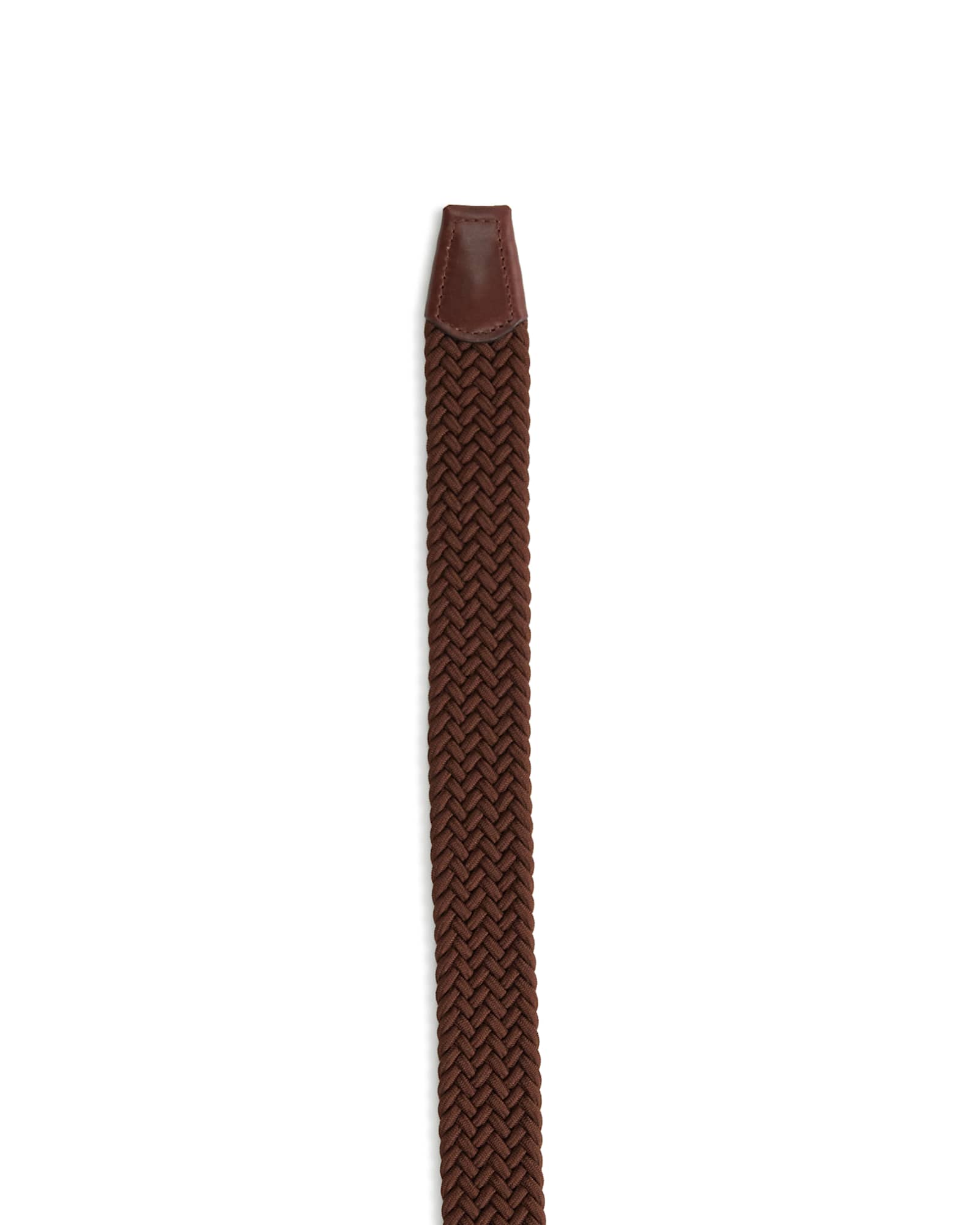 Aireys Platted Belt in CHOCOLATE