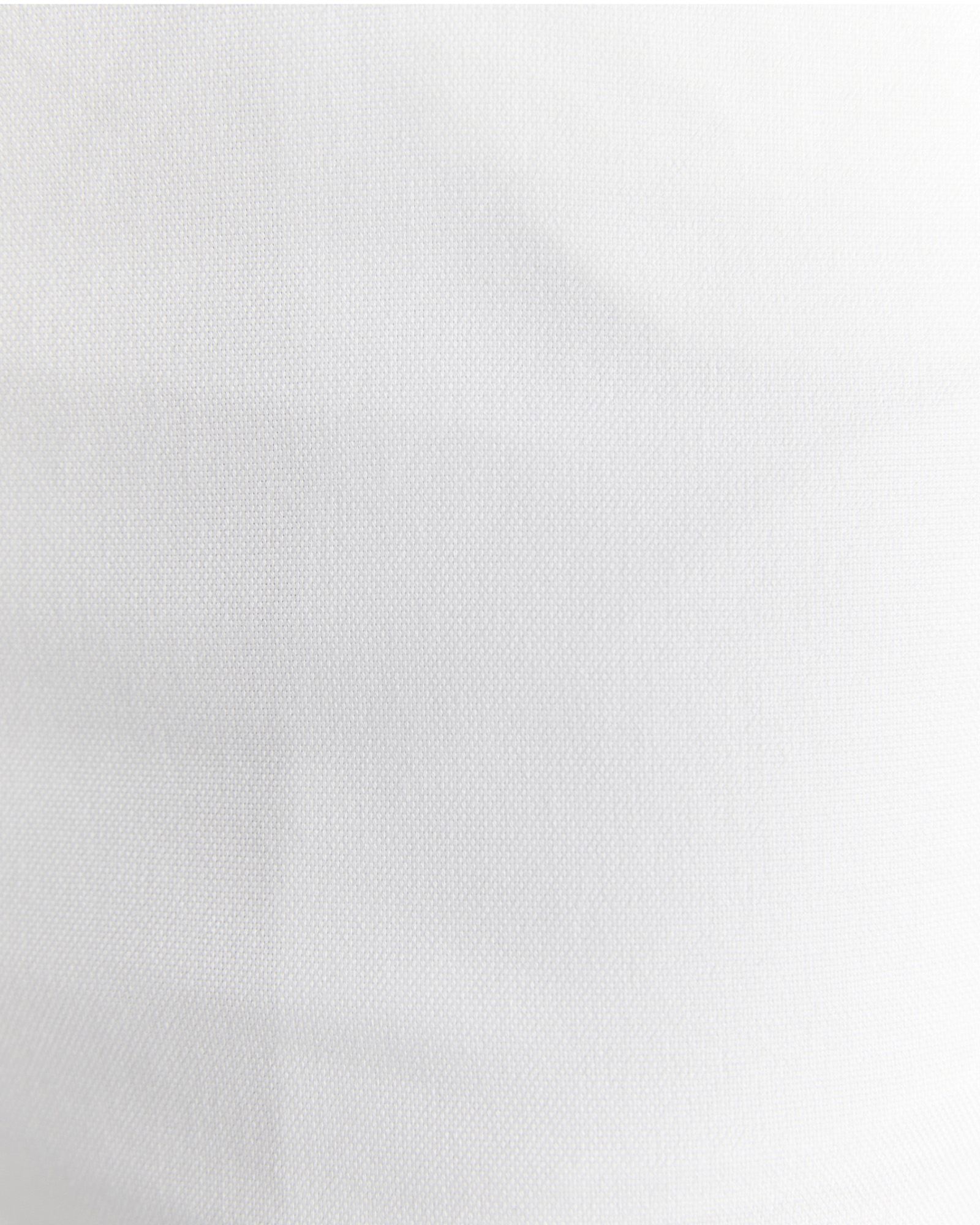 Venus Capri Pant in WHITE