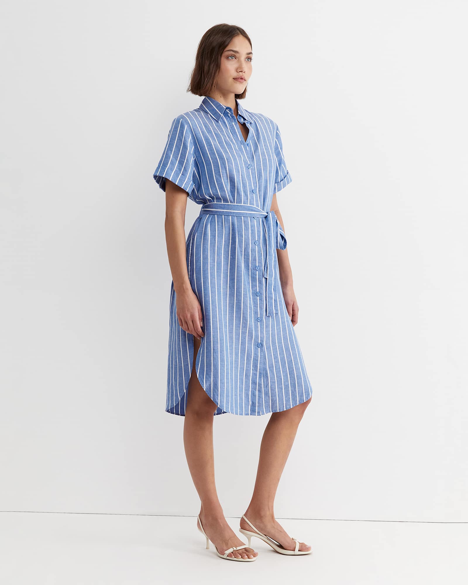 Hera Stripe Shirt Dress in BLUE/WHITE