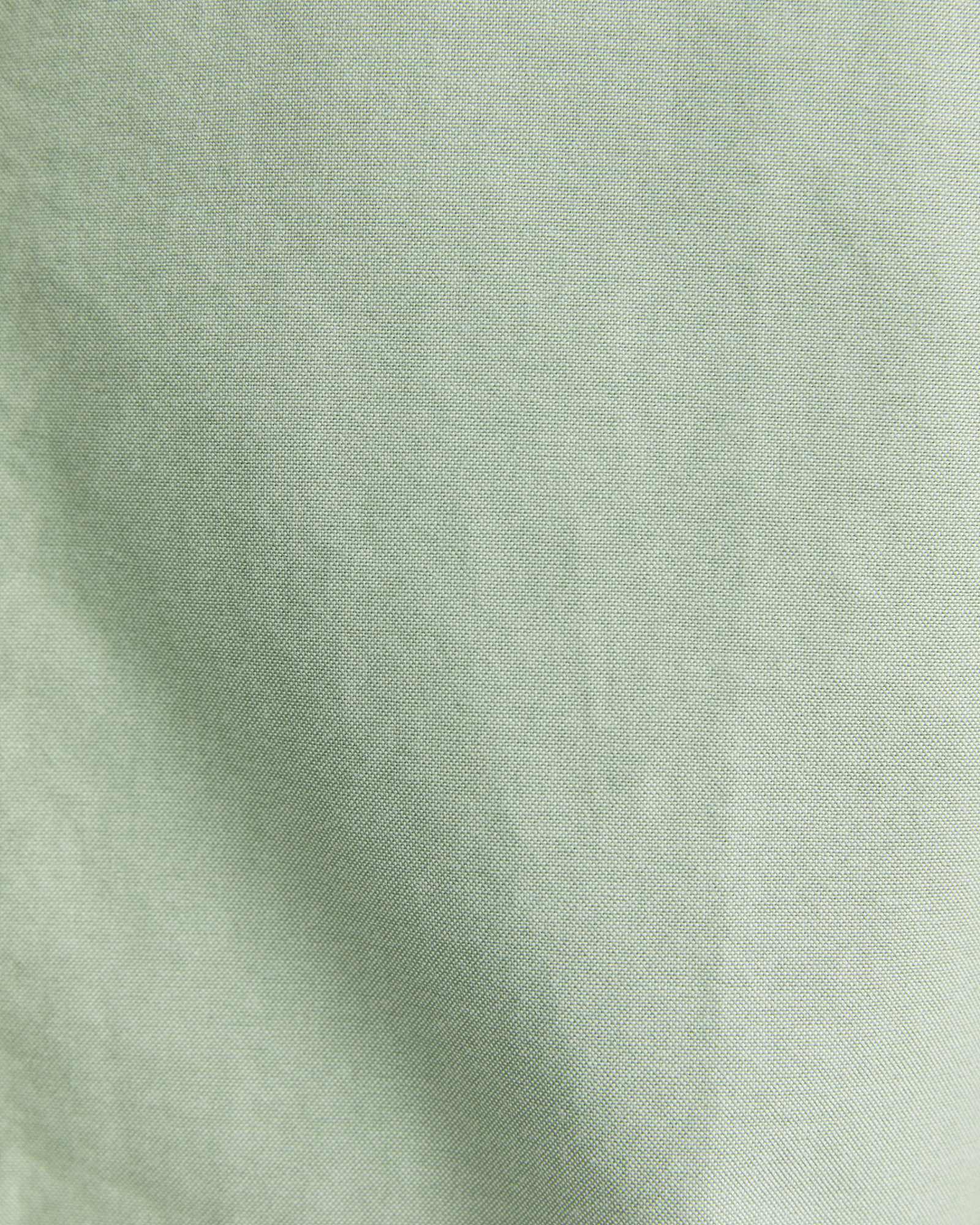 Oxford Long Sleeve Shirt in VINE