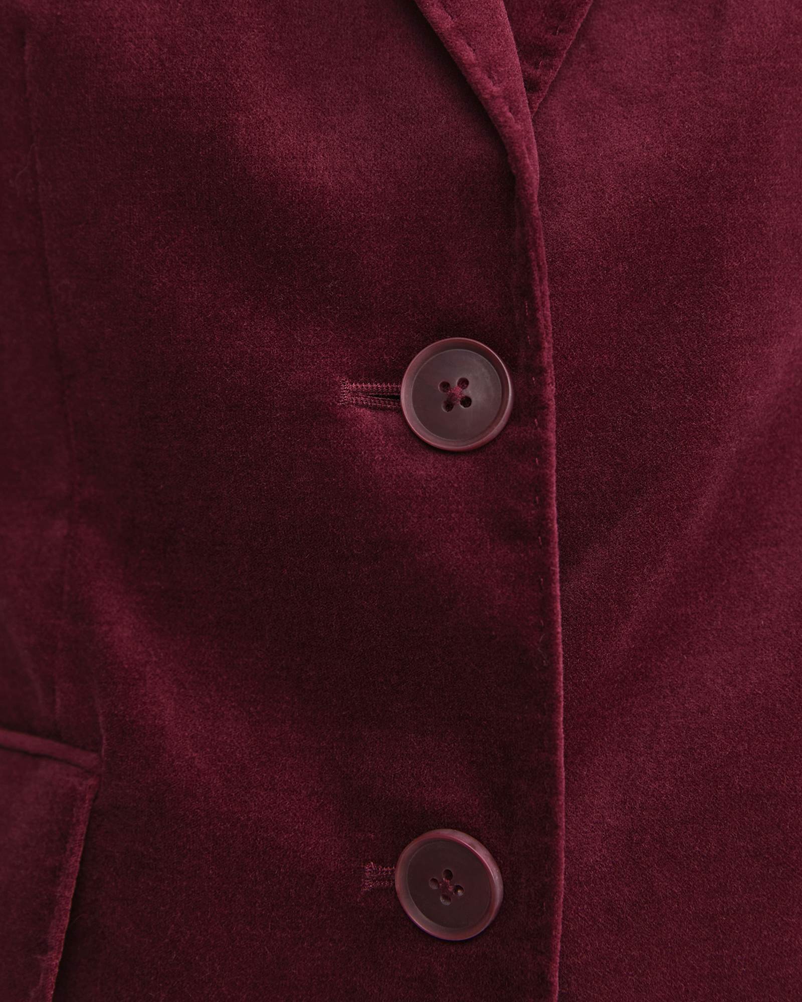 Valentina Single Breasted Velvet Blazer in WINE