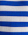 BLUE/WHITE