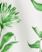 GREEN MULTI