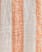ORANGE/WHITE