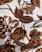 IVORY/BROWN