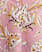 PINK MULTI