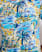BLUE MULTI