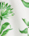 GREEN MULTI