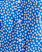 BLUE/WHITE